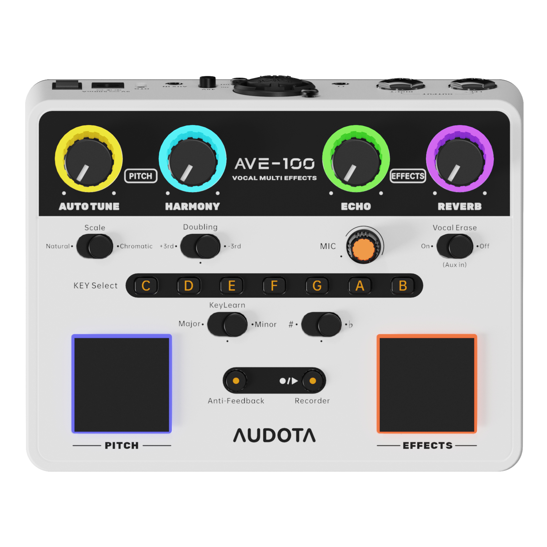 AVE-100 Vocal Multi Effects